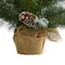 2ft. Pre-Lit Frosted Pine Artificial Christmas Tree with Pinecones, Clear LED Lights